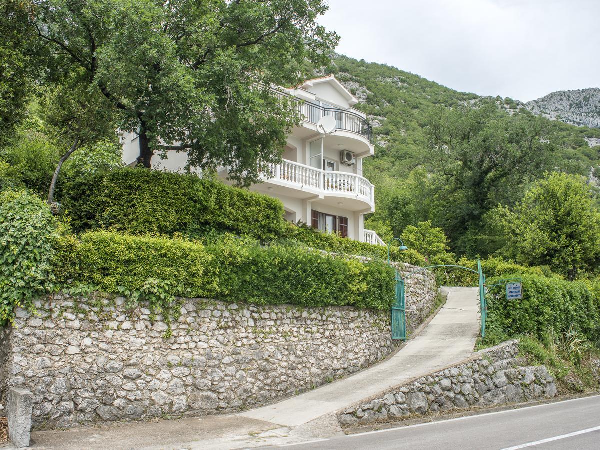 Apartments Villa Radonic 돈지 모린지 외부 사진
